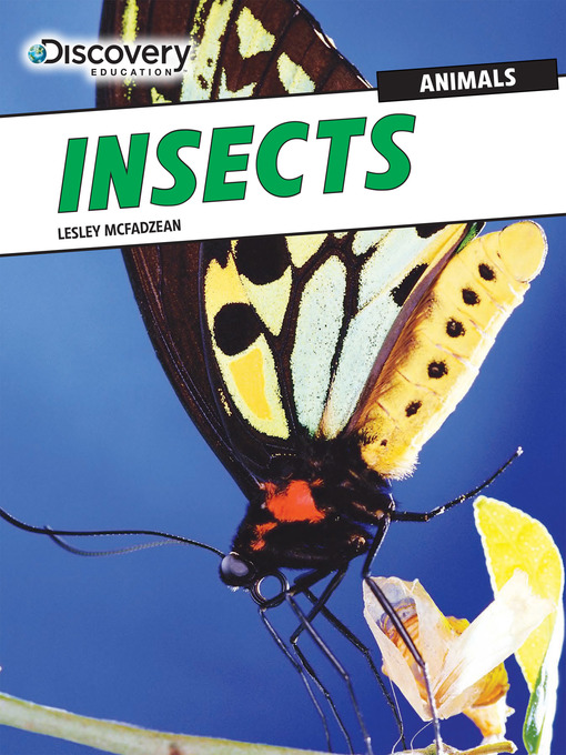Title details for Insects by Lesley McFadzean - Available